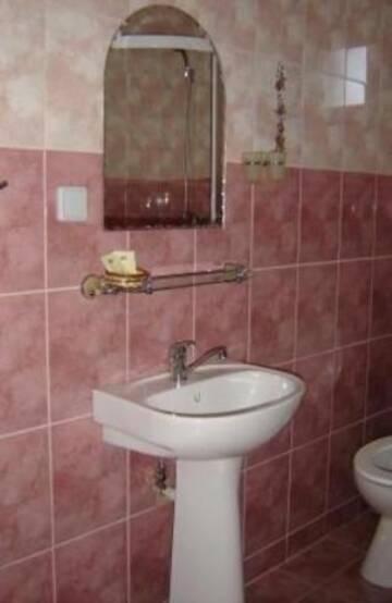 Фото номера Двухместный номер с 1 кроватью Гостевой дом Pensiunea Snagov Lac г. Ciofliceni 12